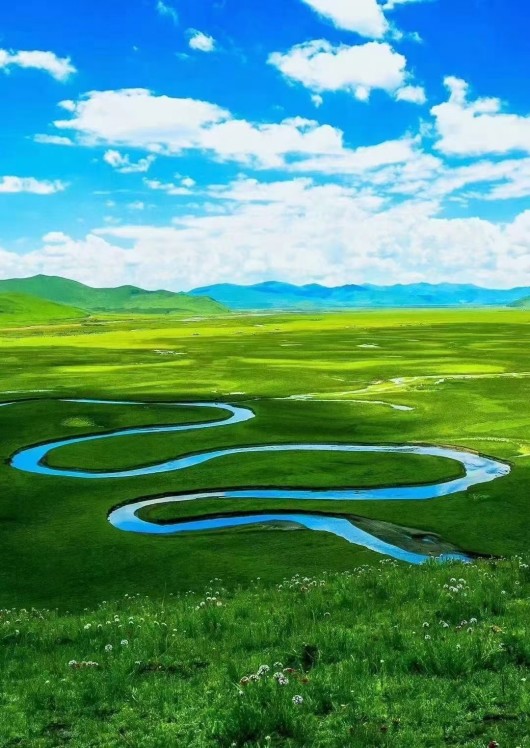 流經阿壩段的黃河。阿壩州委宣傳部供圖