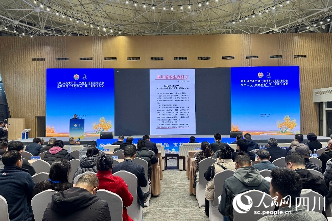 會議現場。人民網記者 朱虹攝