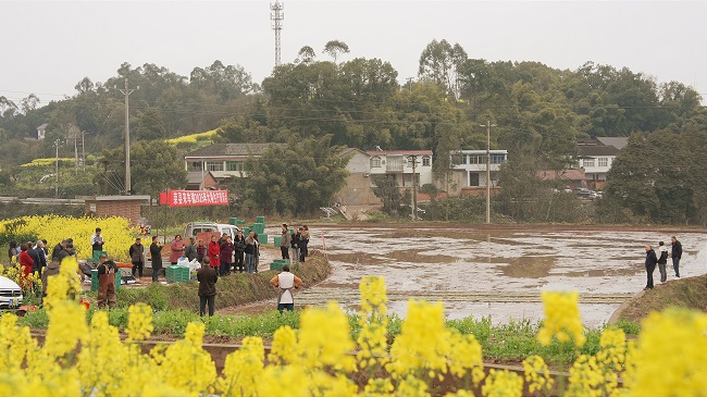 現場會。徐振宇供圖