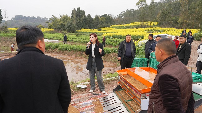 現場會。徐振宇供圖