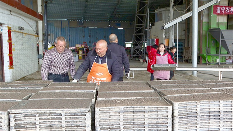 村民們在為種子鋪土。綿竹市融媒體中心供圖