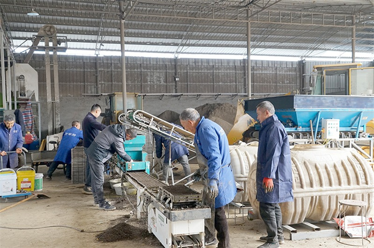 村民在貴豐家庭農場育秧大棚上班。綿竹市融媒體中心供圖