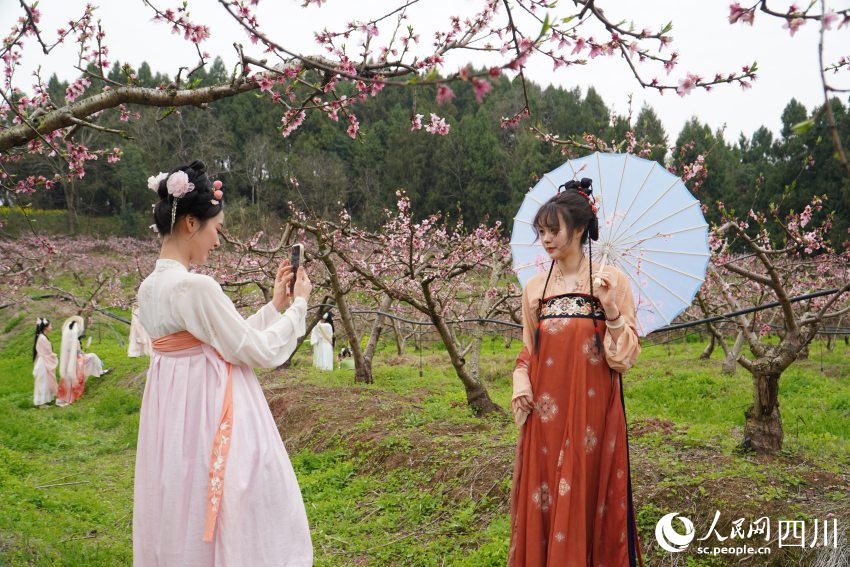 21日，古風愛好者身穿漢服在四川天府新區眉山片區貴平鎮龍江村桃花林里游玩拍照。人民網 趙祖樂攝