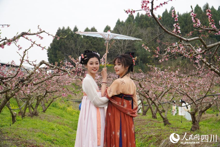 古風愛好者身穿漢服在四川天府新區眉山片區貴平鎮龍江村桃花林里游玩拍照。人民網 趙祖樂攝