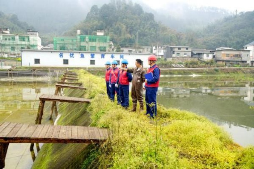長寧電力公司到產業園區上門服務。四川省水電集團供圖