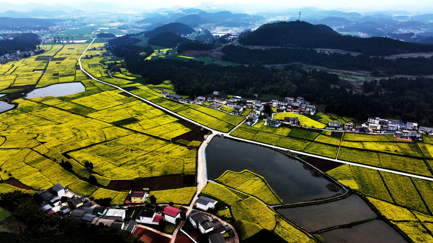 中江縣黃鹿鎮產業基地。肖開豐攝