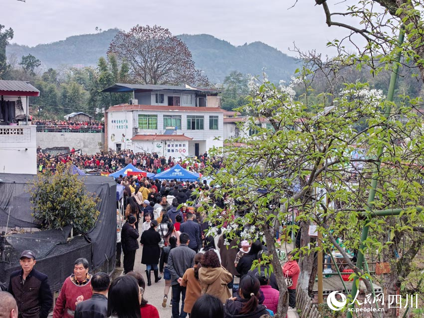 為了看梨花，雖千萬人吾往矣。人民網記者 劉海天攝