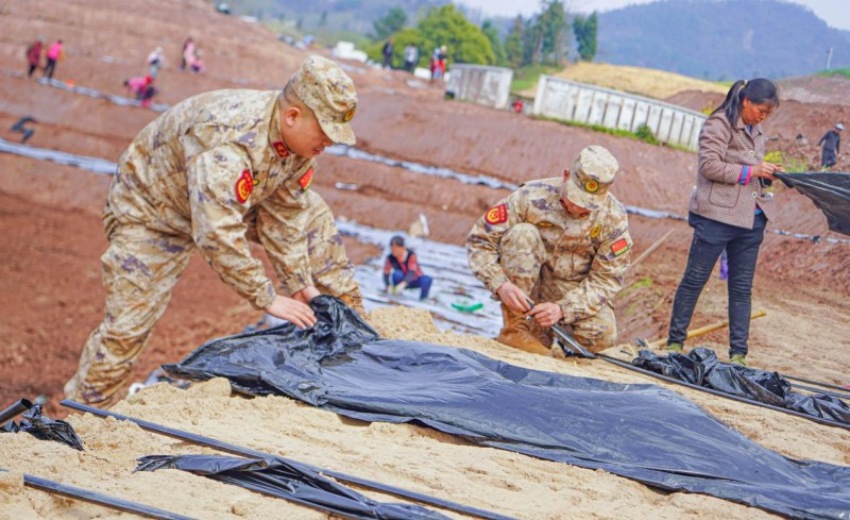 大竹縣民兵幫助村民覆膜保墑。孫永剛攝