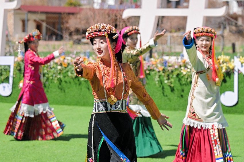 丹巴縣“花開丹巴·為梨而來”2025春賞季梨花下的音樂會現場。丹巴縣委宣傳部供圖