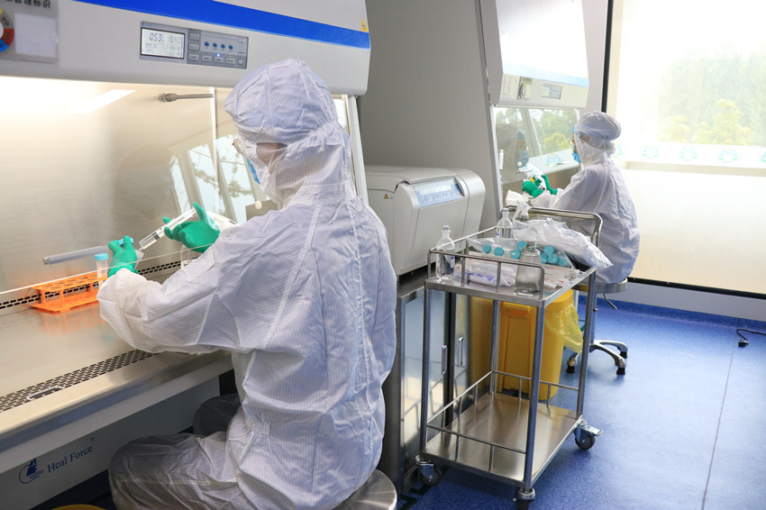 生產人員在細胞生產車間制備細胞。受訪者供圖