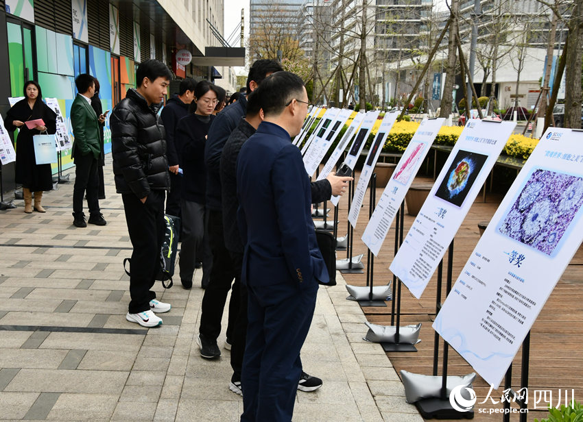 “微觀世界：細胞之美”醫學攝影大賽作品展。實習生 張思男攝