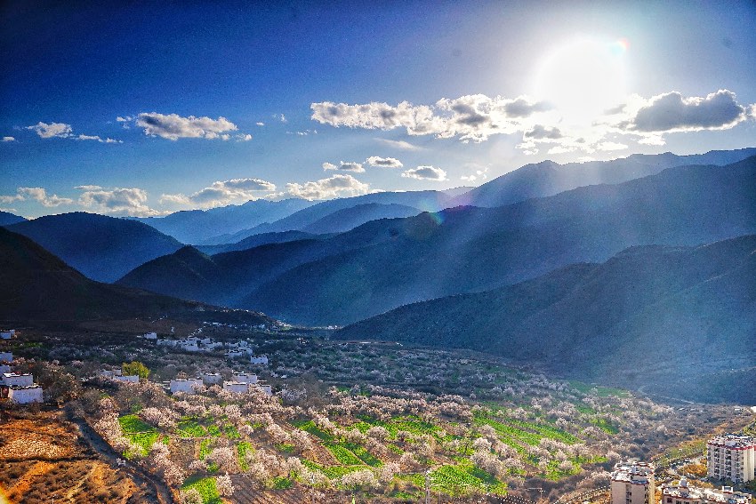 得榮縣桃花美景。得榮縣委宣傳部供圖