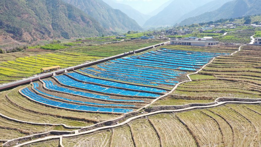 航怕德昌糧經復合現代農業園區超級稻單季畝產1200公斤示范基地。德昌縣委宣傳部供圖