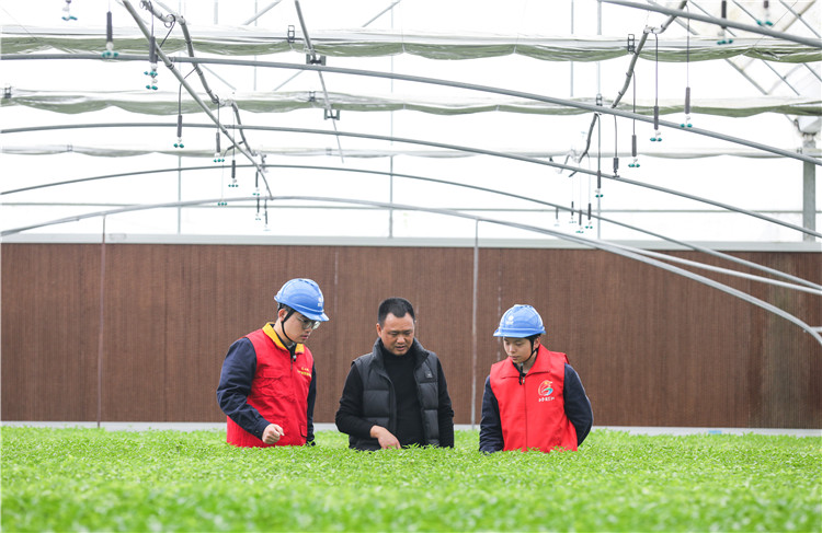 工作人員檢查育秧中心設備。鄰水縣供電有限公司供圖