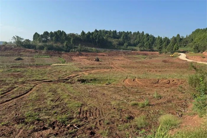 長五村農田改造前。遂寧經開區委宣傳部供圖