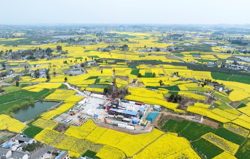 春耕送氣潤沃野，化肥添力促農豐