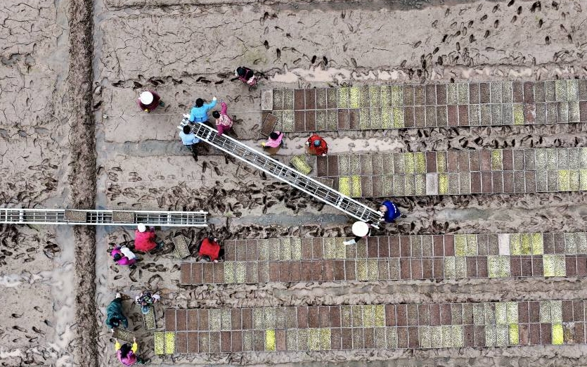 村民正在春耕備耕。