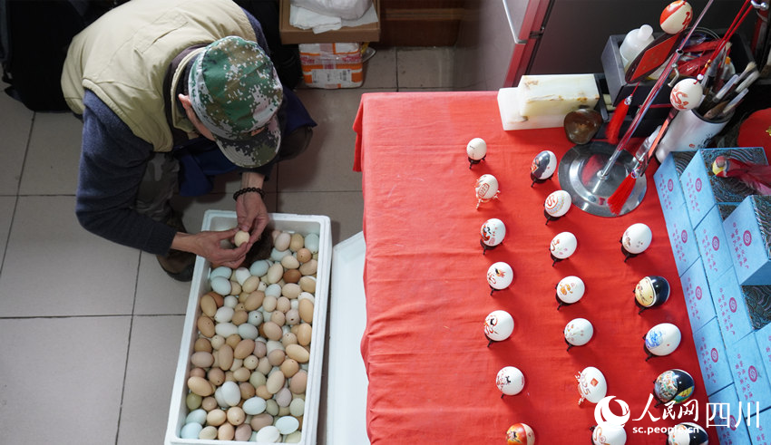 雷文彬在挑選蛋殼。黃俊欽攝