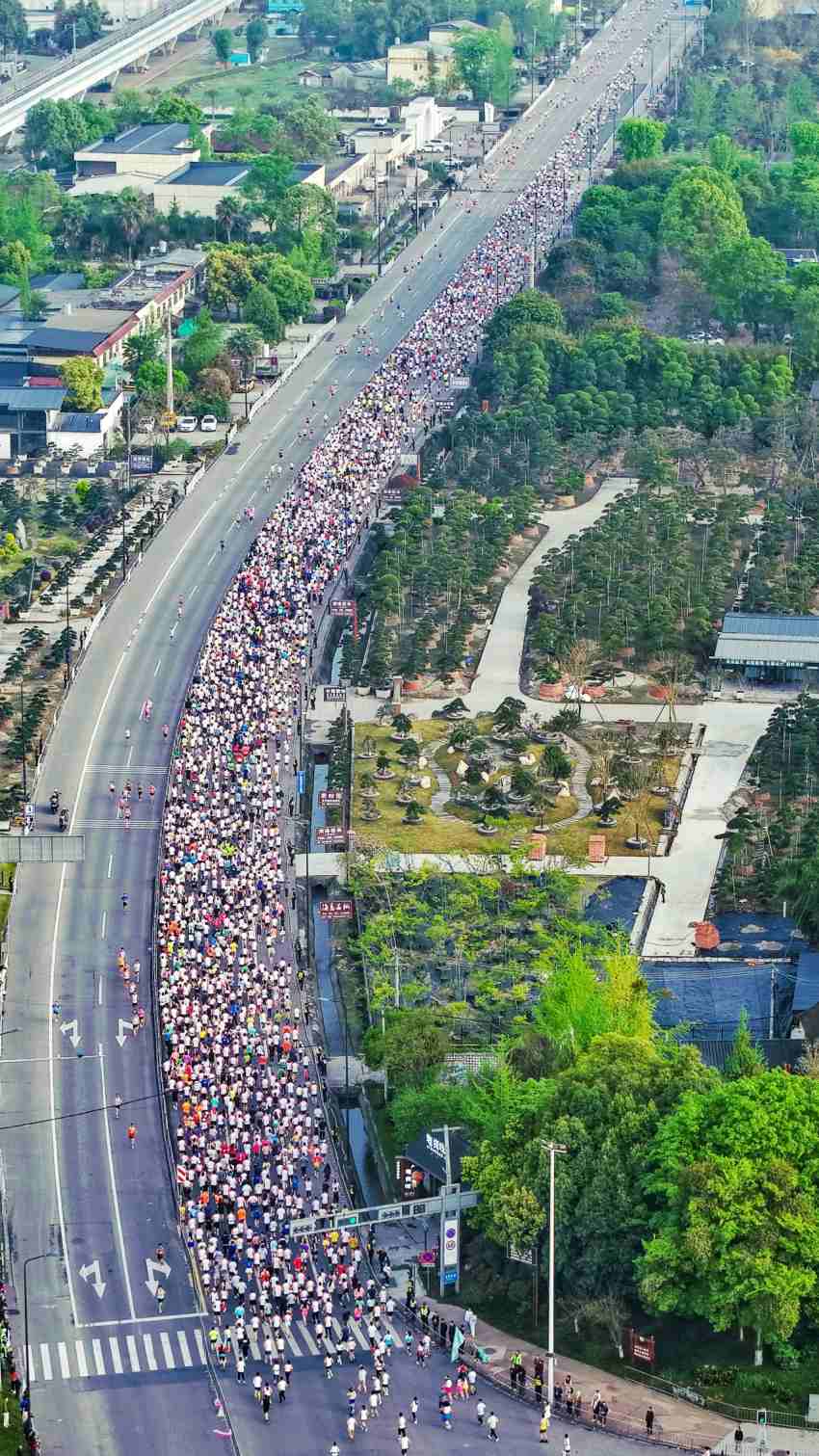 2025溫江半程馬拉松。溫江區委宣傳部供圖