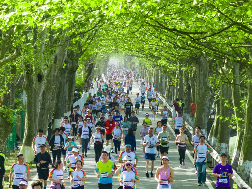 跑者穿行于嫩綠梧桐交織的“綠色隧道”。溫江區委宣傳部供圖