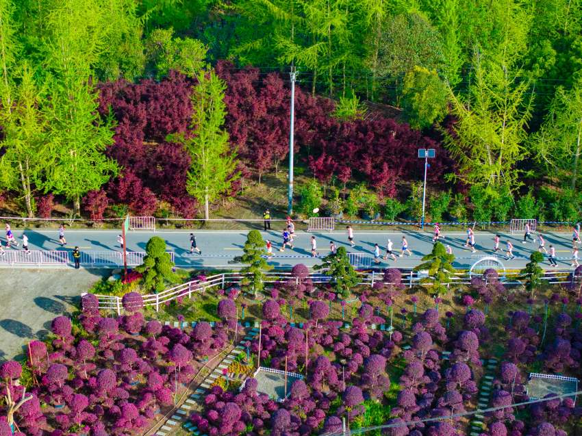 溫江“半馬”生態賽道。溫江區委宣傳部供圖