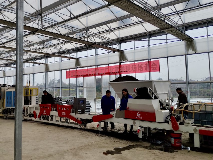 牛佛鎮紅旗村正在運行的智能化育秧中心。自貢市大安區農業農村局