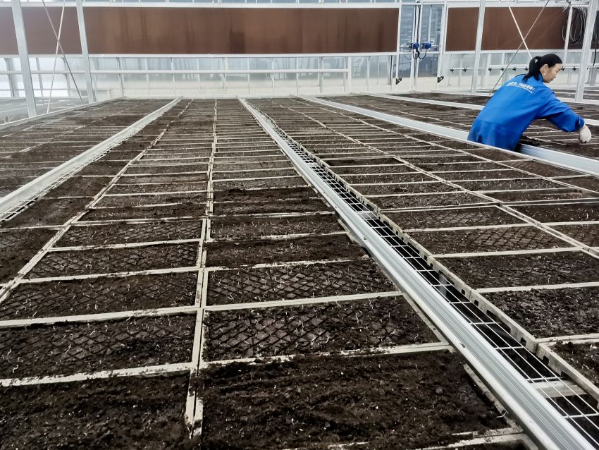 智能化育秧中心。自貢市大安區農業農村局