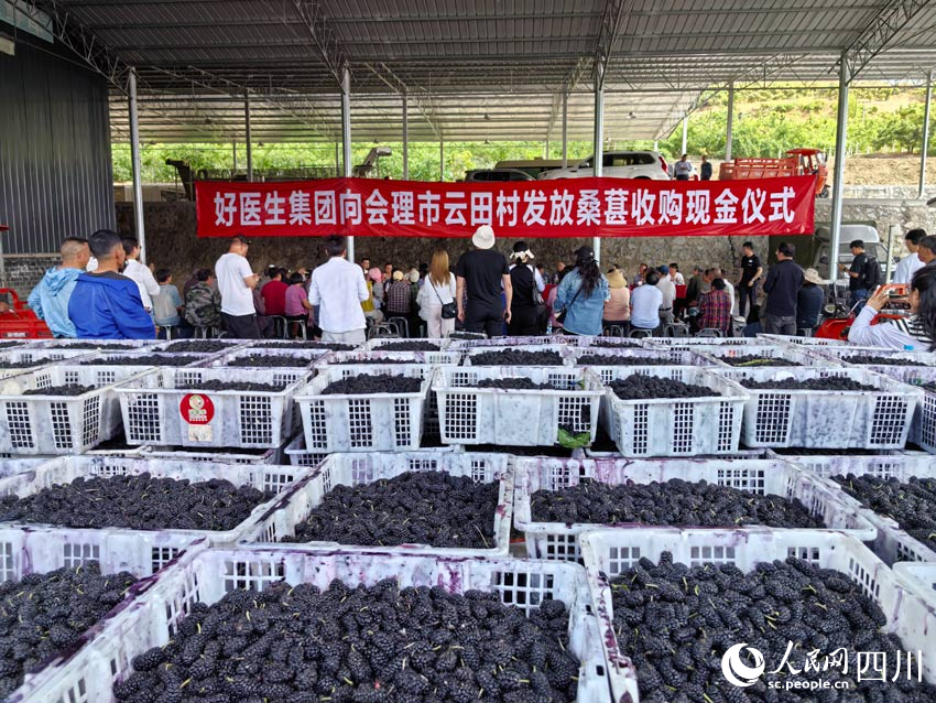 活動現場。人民網記者 劉海天攝