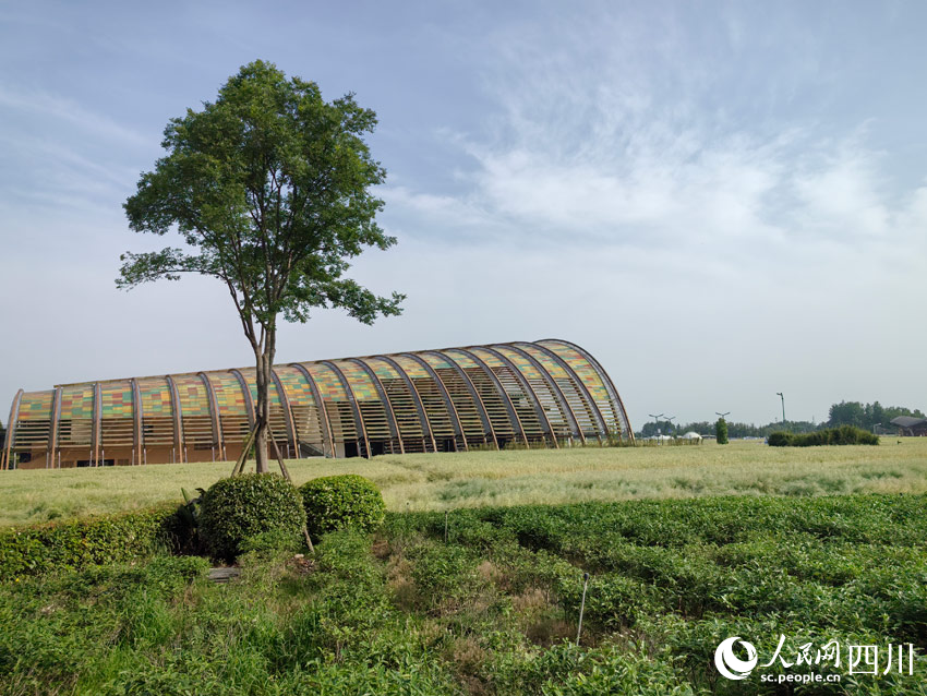 天府農博園起宏圖，希望的田野美如畫。人民網記者 劉海天攝