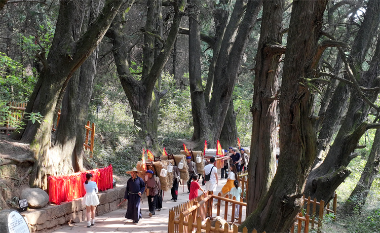 翠云廊景區再現古蜀道上繁榮景象。劍閣縣委宣傳部供圖