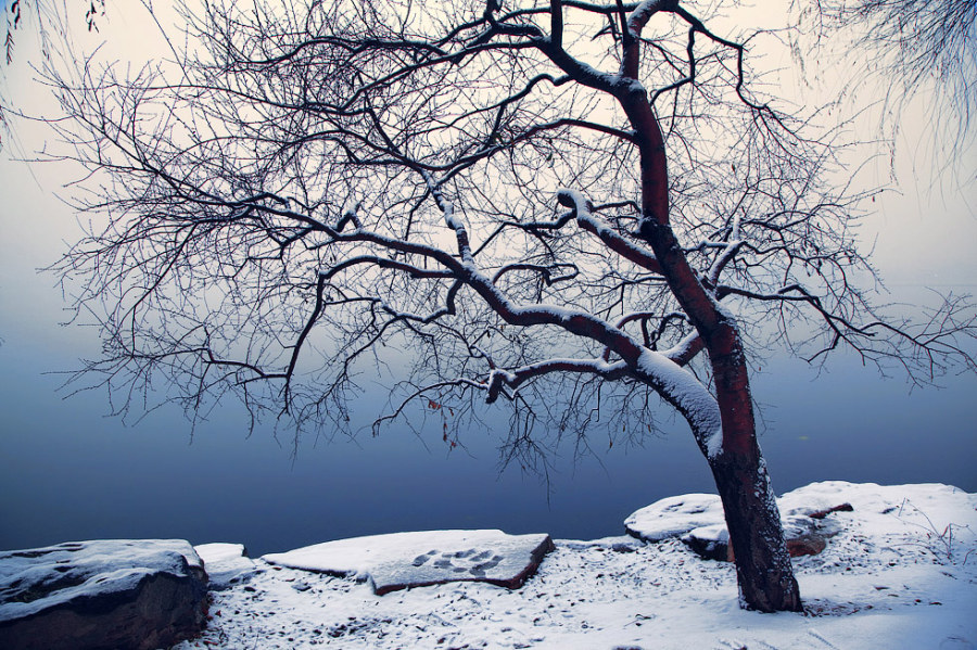 標題標題標題標題標題標題標題005