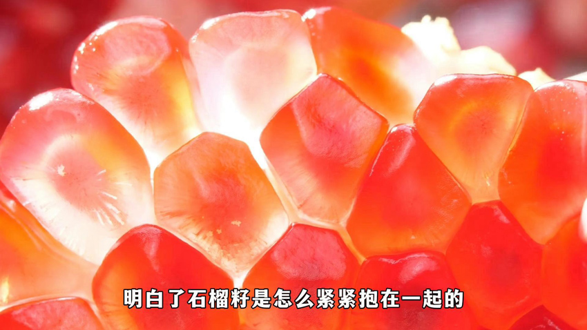 石榴籽緊緊抱在一起，中華民族緊緊團結在一起。受訪者供圖