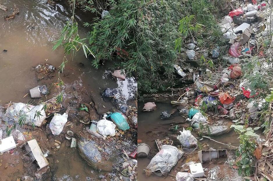 網友拍攝的河道中的垃圾