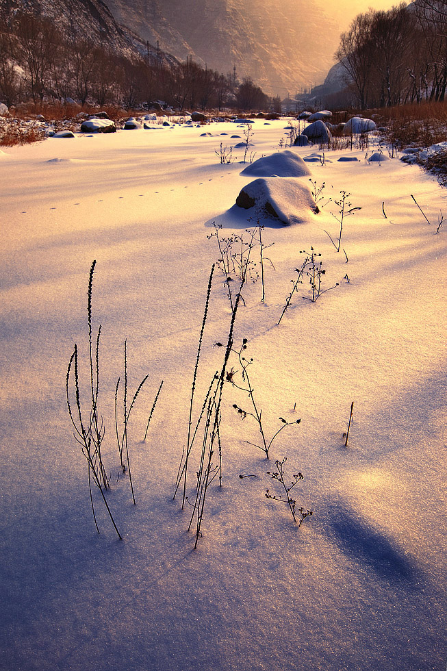 劉崗002職務職務職務職務職務職務職務職務職務職務職務職務002查看詳情培育會呼吸的“人工樹葉“002眼前這位“80”后，不僅是金屬研究所太陽能光催化分解水綠氫制備技術研究的學術帶頭人，還是中國科學院100余家研究所中最年輕的“掌門人”之一。002