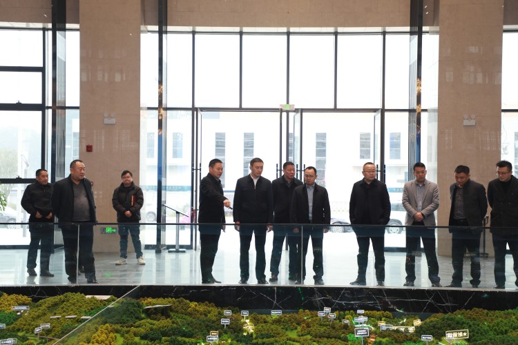 辛俊調研中國西部（廣元）綠色家居產業城建設工作。楊旭攝
