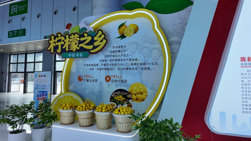 資陽本土農產品。何婧雯攝