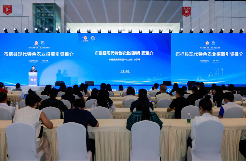 推介會現場。西博會組委會供圖