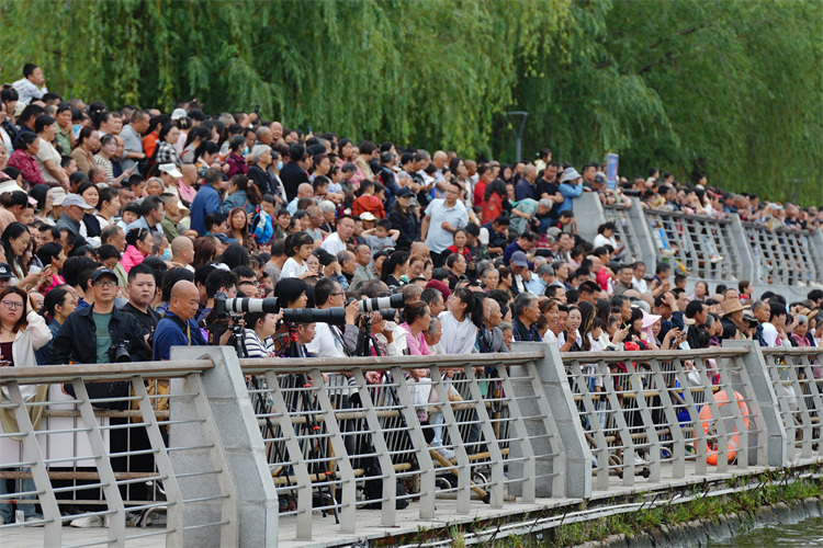 市民游客觀看現場。張越供圖