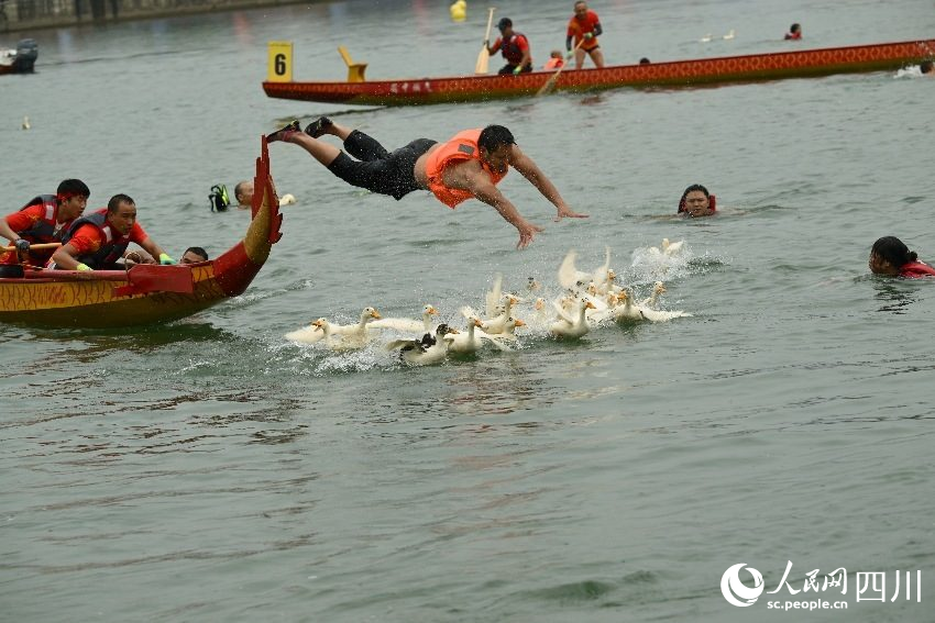 抓鴨子活動。張曉東攝