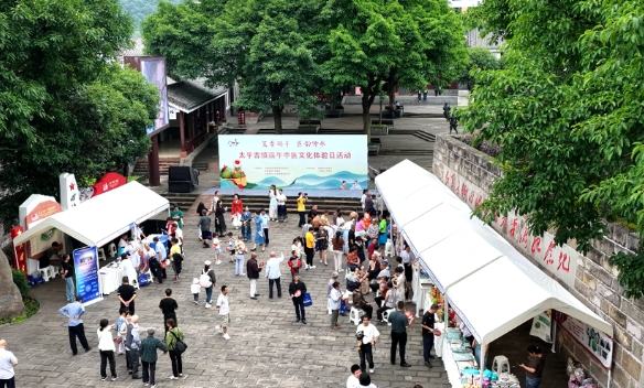 端午節中醫文化活動層出不窮