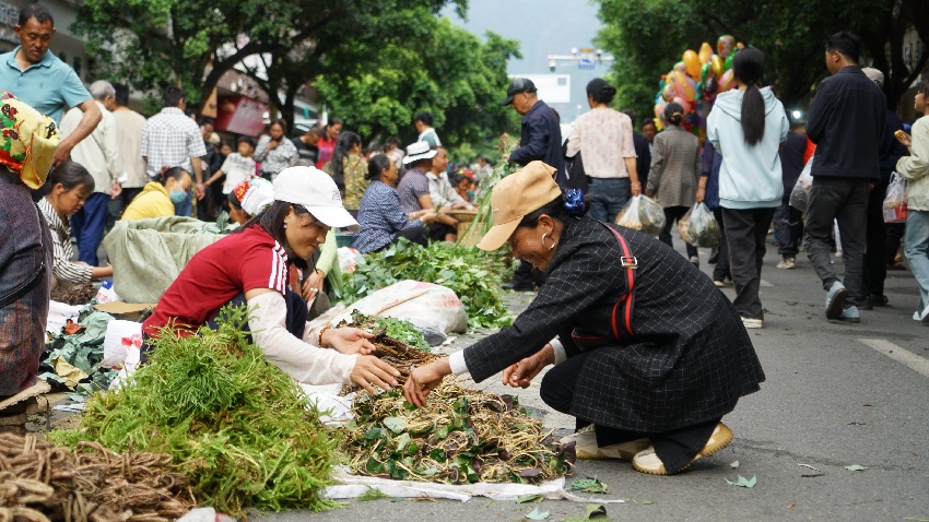 端午民俗盛會活動現場。德昌縣委宣傳部供圖