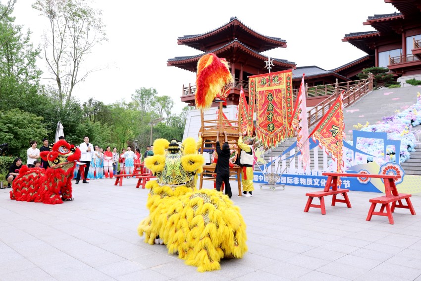 活動現場：舞獅表演。東部新區供圖