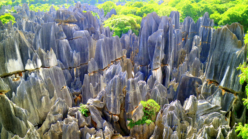 大石林。石林風景名勝區管理局供圖