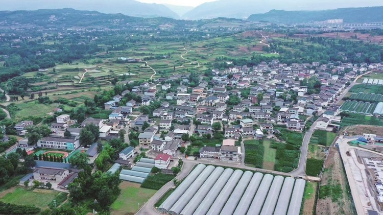 天雄村一角。昭化區融媒體中心供圖