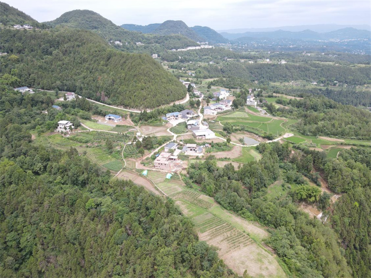 檬籽家庭農場。蒼溪縣融媒體中心供圖