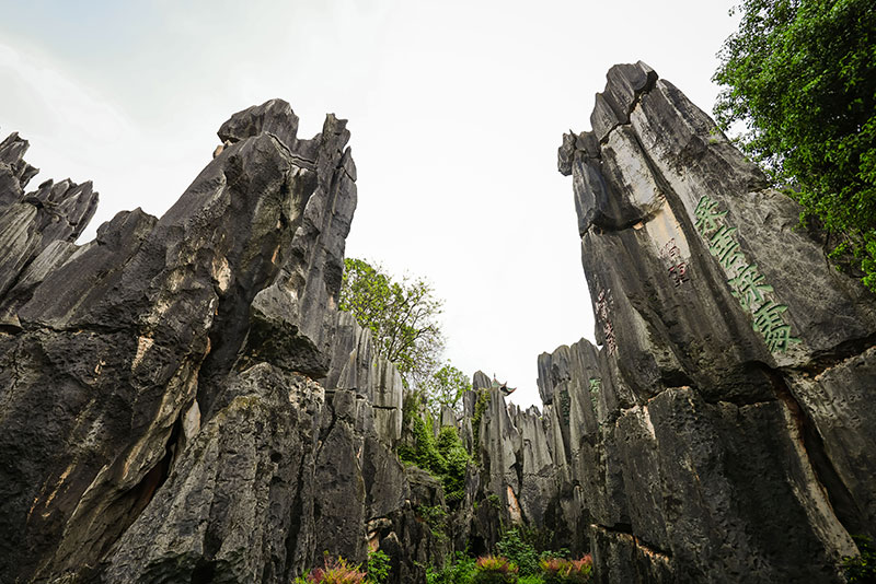 雄奇壯觀的石林美景.