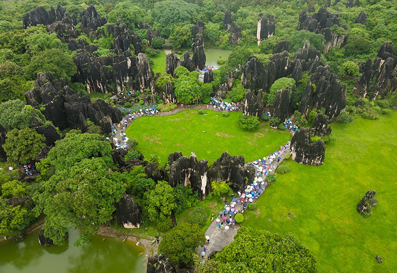 雨后的石林美如畫。