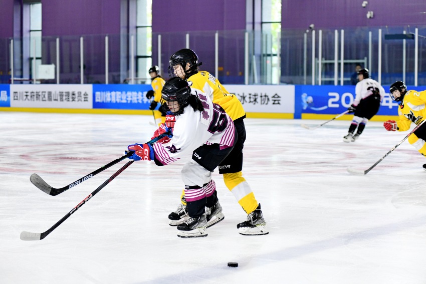 比賽現場。主辦方供圖