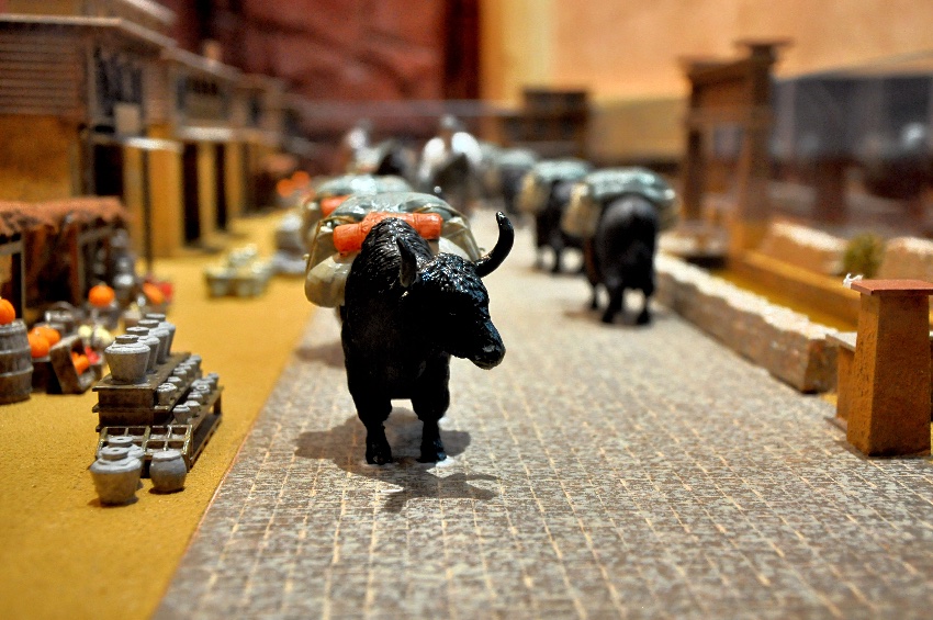 昌臺牦?？破詹┪镳^。白玉縣委宣傳部供圖