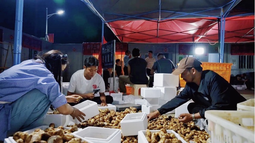 直播現場。雅江外宣供圖